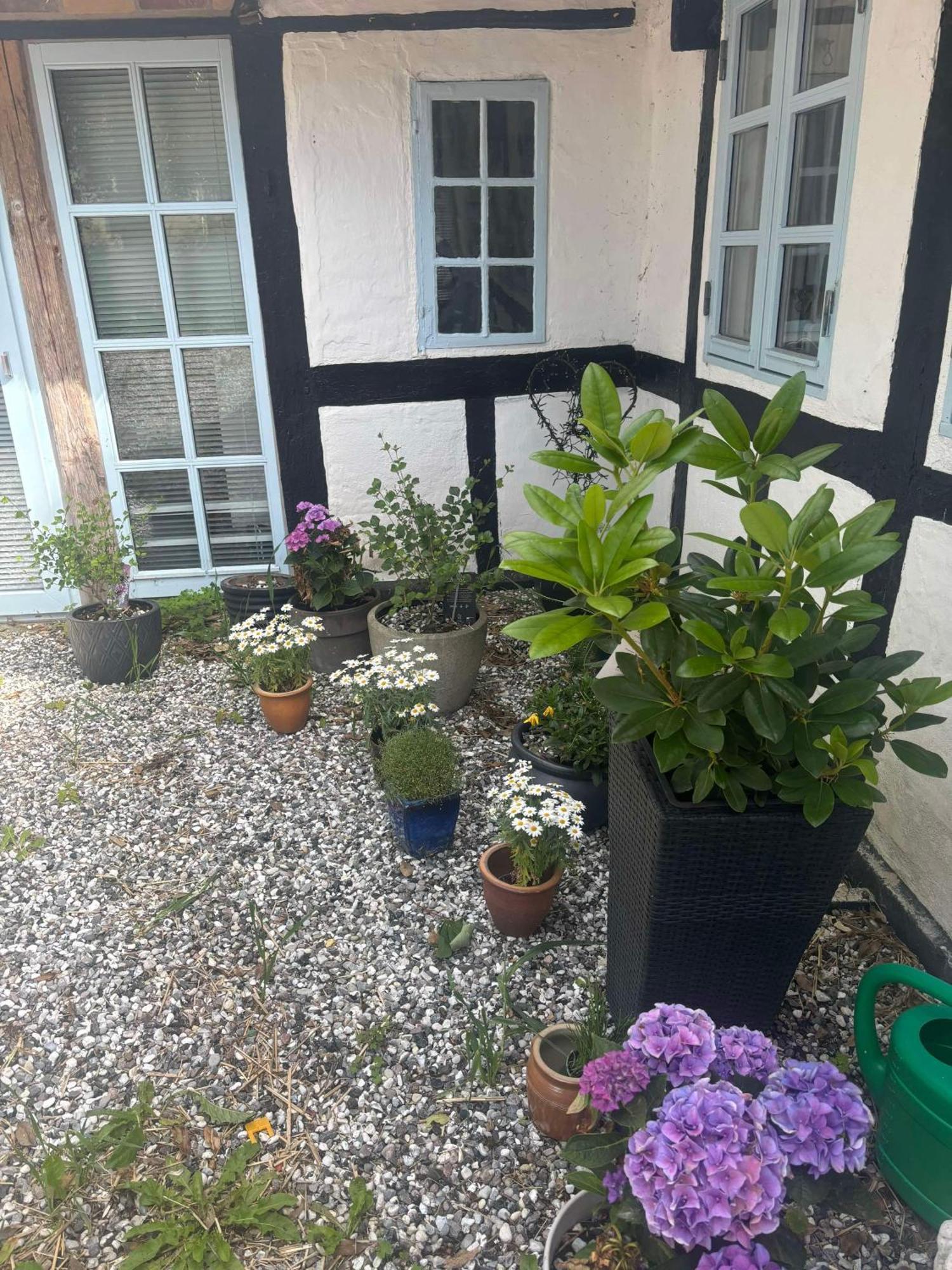 Troldehuset Villa Bogense Dış mekan fotoğraf